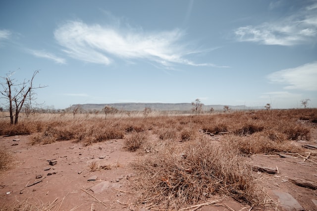 Die Folgen des Klimawandels: dürre Landschaft 