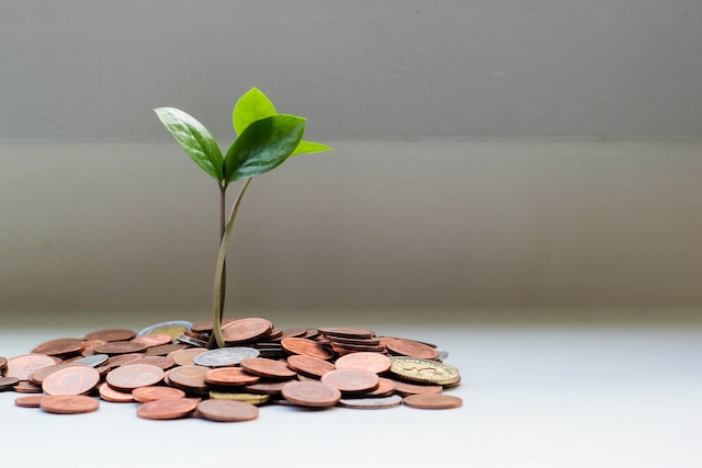 nachhaltige Banken: Pflanze in Kleingeld