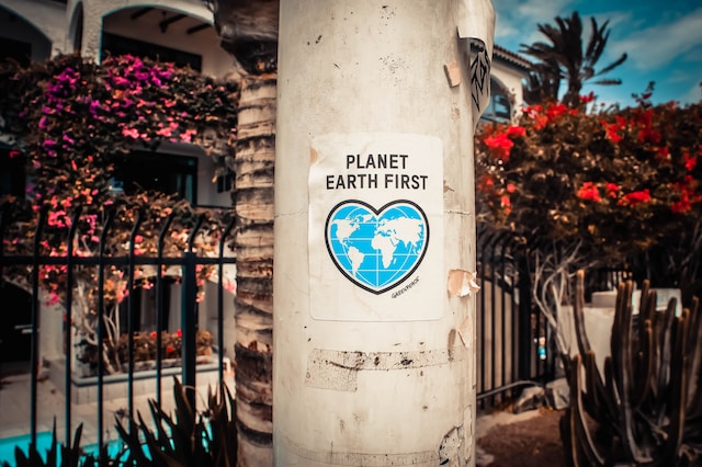 Nachhaltigkeit im Alltag: Planet Earth First Poster