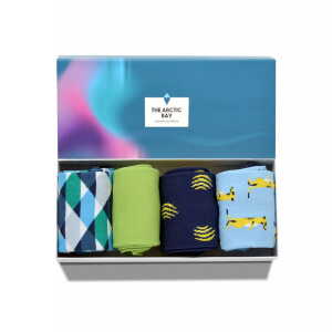 The Arctic Bay Die Arctic Box – Allegro-Edition – 4 Paar Socken
