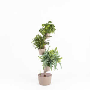 CitySens Vertikaler Blumentopf mit 3 luftreinigenden Pflanzen