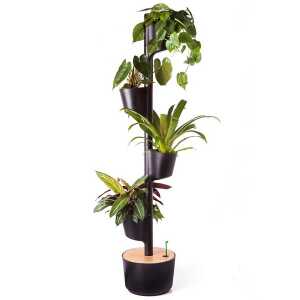 CitySens Vertikaler Blumentopf mit 4 luftreinigenden Pflanzen