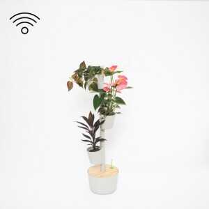 CitySens Vertikaler Blumentopf mit Wifi-Selbstbewässerung; 3 Blumentöpfe