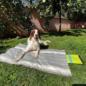 GOOPSI Fairtrade Hundedecke für unterwegs faltbar “Wart ma!”, upcycelt – versch. Farben