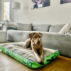GOOPSI Fairtrade Hundekissen mit Bio-Baumwollfüllung “Chill ma!”, upcycelt – versch. Farben