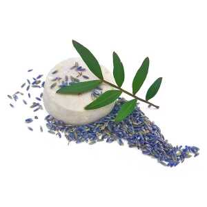Kleine Auszeit Manufaktur Shampoo Bar Lavendel – für normale und trockene Haare