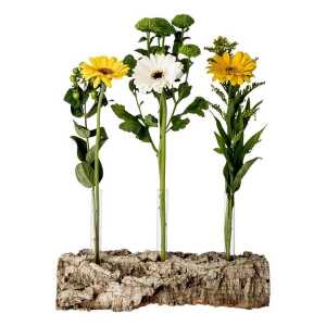 Kork-Deko Korkrinde als Blumen-Vase mit 3 Reagenzgläsern