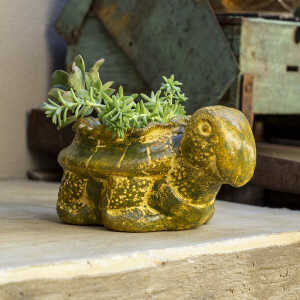 Mitienda Shop Blumentopf aus Ton Schildkröte
