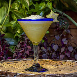 Mitienda Shop Martini Gläser aus Mexiko im 2er Set blauer Rand Traditional