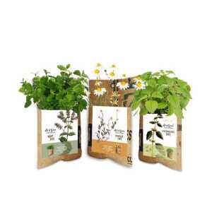 SuperWaste Kräutertee – Hängegarten- Let it grow – Fairtrade Upcycling