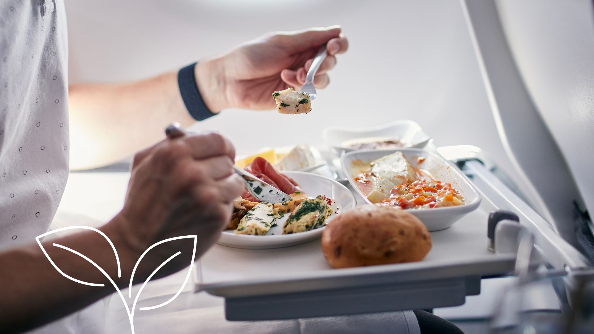 Essen im Flugzeug ohne Plastik