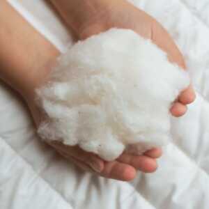 murmunto organics Bio-Kopfkissen (kbA) aus Bio-Baumwolle GOTS vegan “Cotton Top”