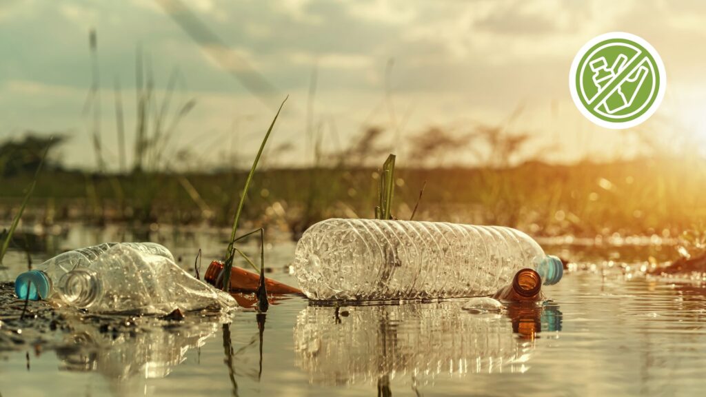 Plastikmüll landet in Flüssen und somit auch Mikroplastik