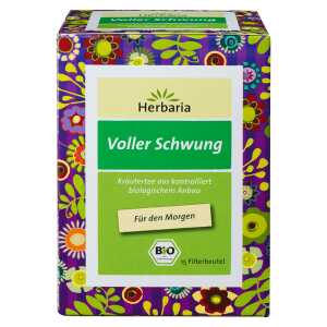 Bio Voller Schwung Tee, 15 Filterbeutel