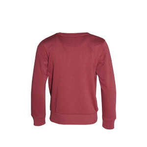 FÄDD Kinder Sweatshirt Pullover Bio-Baumwolle und recyceltem Polyester Rot