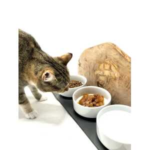 Olivenholz erleben Futterstation “Cats only” DUO MOUNTAIN oder TRIO MOUNTAIN mit Olivenholzwand als Spritzschutz
