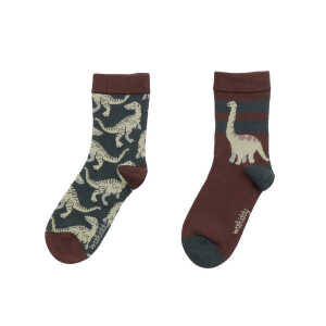 Walkiddy Dinosaur Jungle – Baumwolle (Bio) – Braun – Socken