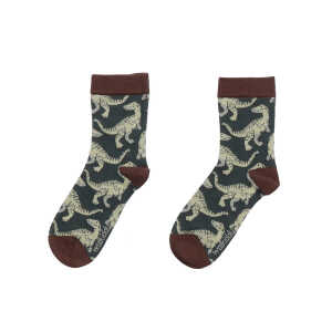 Walkiddy Dinosaur Jungle – Baumwolle (Bio) – Braun – Socken