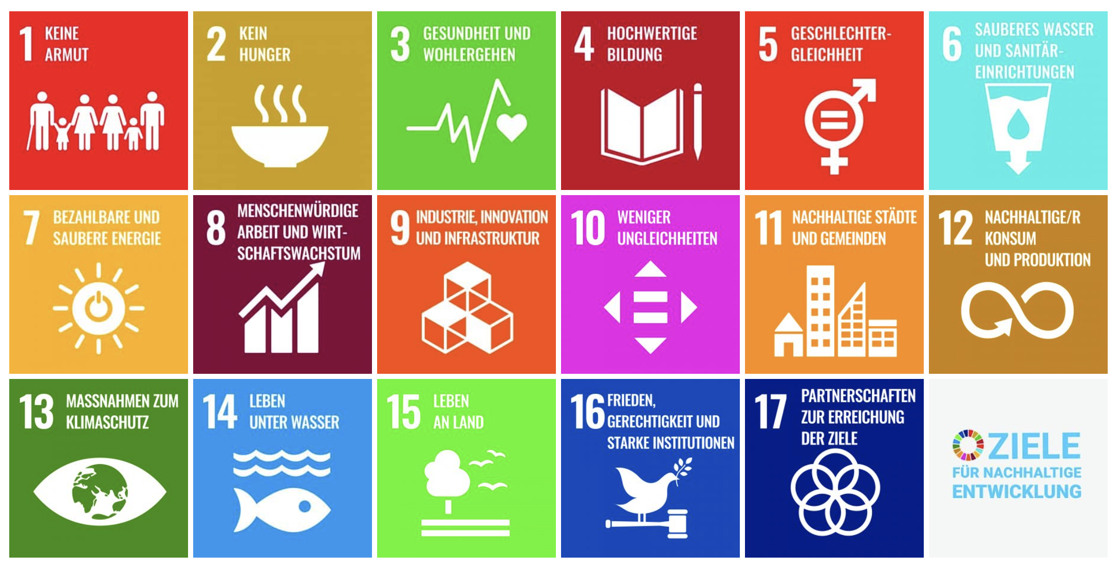 17 Ziele für nachhaltige Entwicklung: Unser Wegweiser bei Plastikalternative