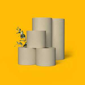 SNYCE Spar-Set Toilettenpapier und Küchenrollen – 100% Recycling