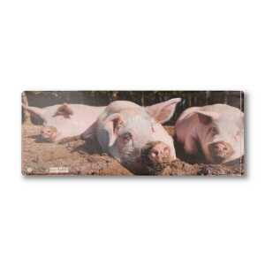 roots of compassion Portemonnaie vegan mit Schweinen – Wallet aus Tyvek